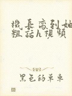 机长脔到她哭h粗话h视频