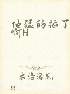 他猛的插了进去啊H