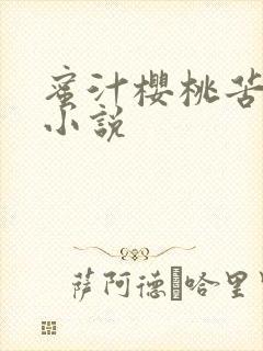 蜜汁樱桃苦咖啡小说