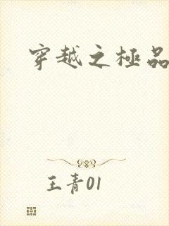 穿越之极品皇帝