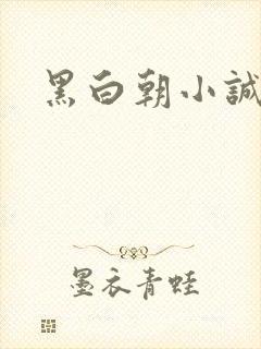 黑白朝小诚