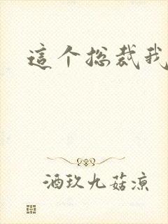 这个总裁我要了