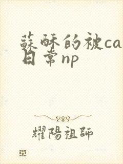 苏酥的被cao日常np