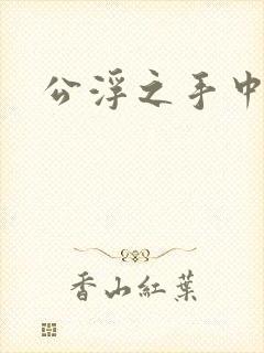 公浮之手中字5