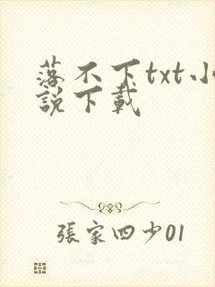 落不下txt小说下载