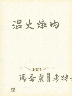 温火炖肉