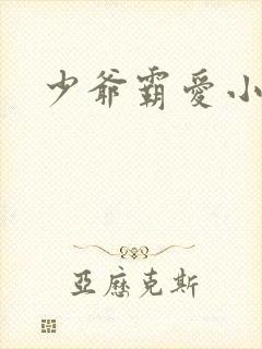 少爷霸爱小丫头