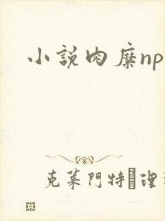 小说肉糜np