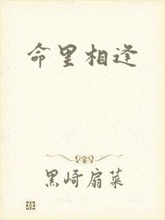 命里相逢