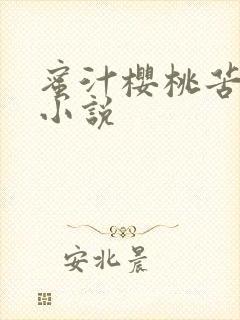 蜜汁樱桃苦咖啡小说