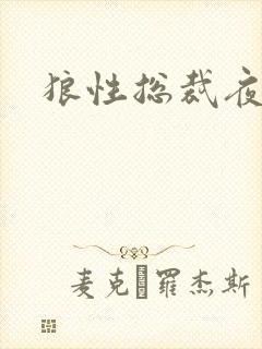 狼性总裁夜欢宠