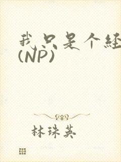 我只是个经纪人(NP)