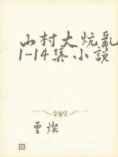 山村大炕乱肉续1-14集小说