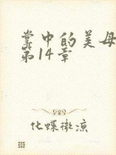 掌中的美母版主第14章