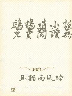 鹧鸪哨小说网站免费阅读无弹窗