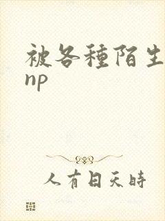 被各种陌生人 np