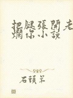 把腿张开老子臊烂你小说