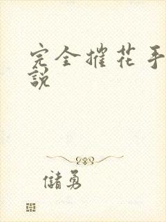 完全摧花手册小说