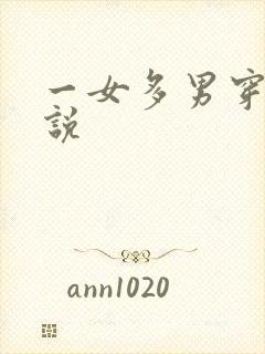 一女多男穿越小说