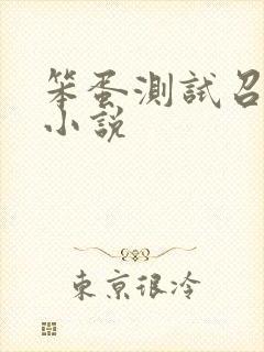 笨蛋测试召唤兽小说