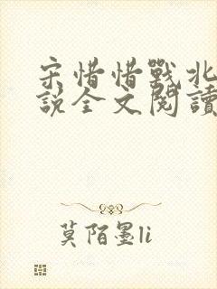 宋惜惜战北望小说全文阅读