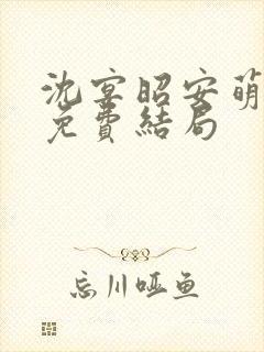 沈宴昭安萌全文免费结局