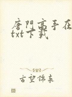 唐门高手在异世txt下载