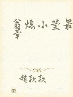 翁熄小莹最新节章