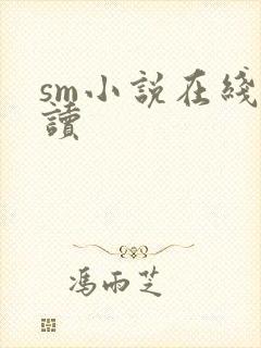 sm小说在线阅读