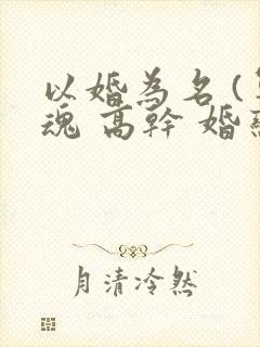 以婚为名 (军魂 高干 婚恋)