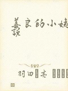善良的小姨子小说