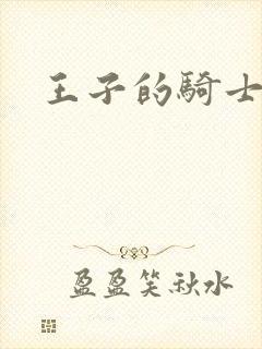 王子的骑士小说