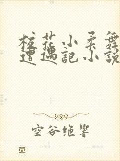 校花小柔舞蹈室遭遇记小说