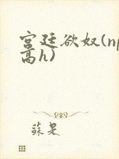 宫廷欲奴(np高h)