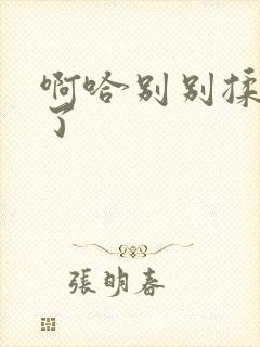 啊哈别别揉那处了