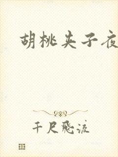 胡桃夹子夜未眠