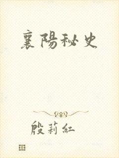 襄阳秘史