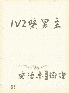 1V2双男主