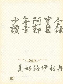 少年阿宾全文阅读章节目录