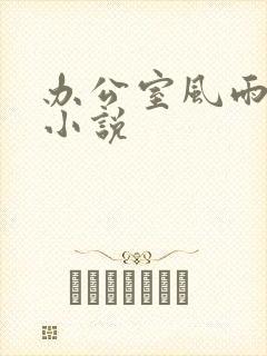 办公室风雨完整小说