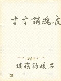 寸寸销魂夜春光