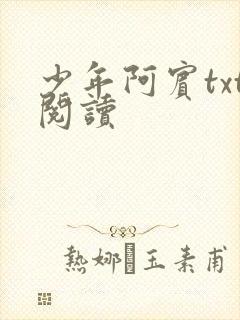 少年阿宾txt阅读
