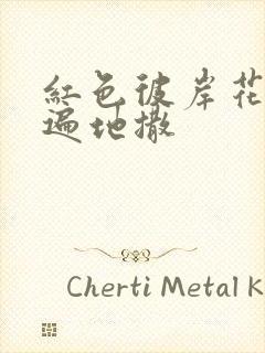 红色彼岸花花瓣遍地撒