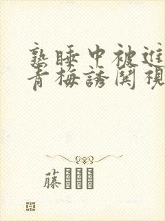 熟睡中被进了H青梅诱哄视频