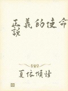 正义的使命 小说