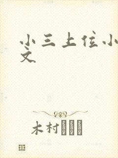 小三上位小说全文