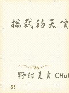 总裁的天价宠妻