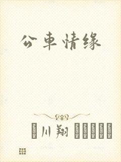 公车情缘