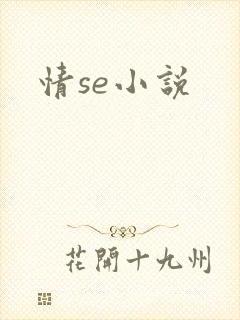 情se小说
