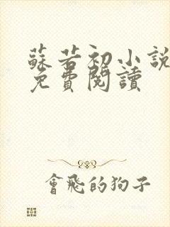 苏若初小说全文免费阅读